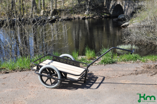 Chariot à timon  L