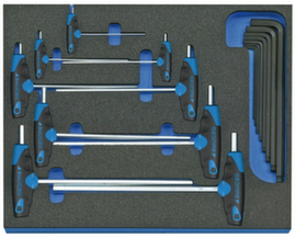 GEDORE 2005 CT2-DT 2142 Jeu de tournevis d'angle dans le module Check-Tool