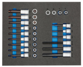 TS CT2-ITX19 Jeu d'embouts de tournevis 1/2" dans le module 2/4 Check-Tool