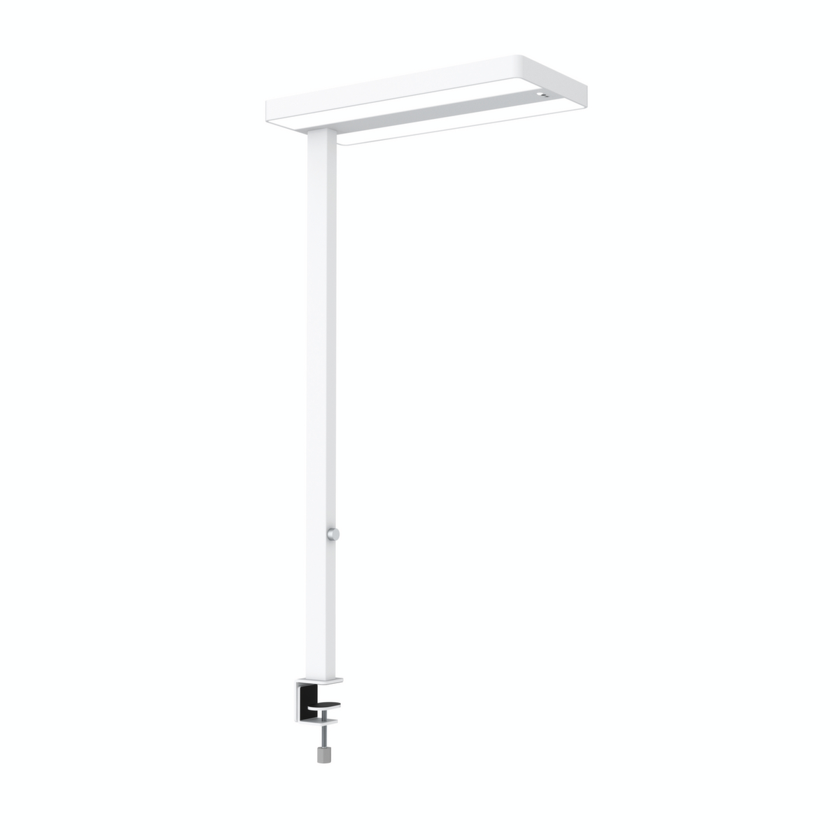 MAUL Lampe étagère de bureau à DEL MAULjuvis, lumière blanc neutre, blanc